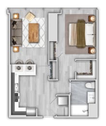 1 bed, 1 bath, $2,905