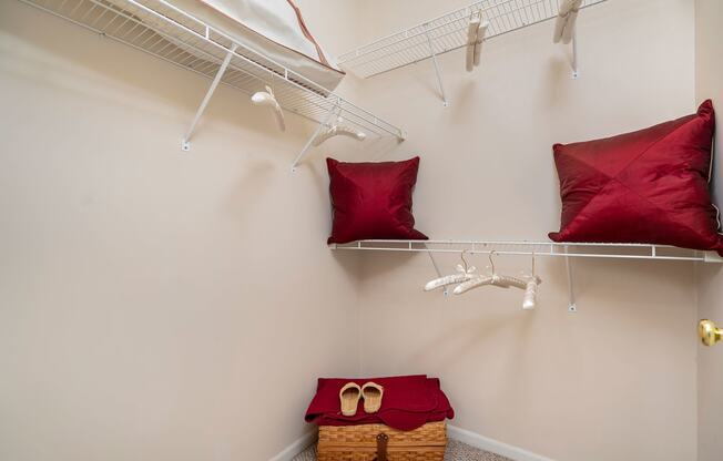the orchard apartments walk in closet