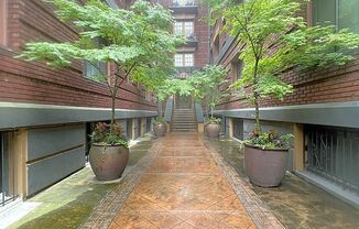 1 bed, 1 bath, 560 sqft, $1,250, Unit 1