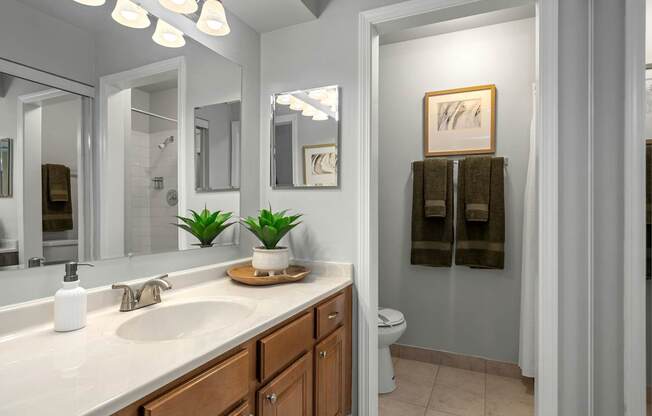 A bathroom with a white sink and a mirror above it.