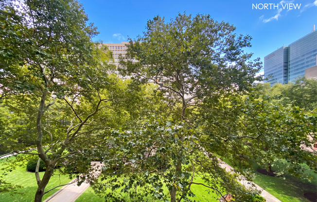 1 bed, 1 bath, 808 sqft, $4,750, Unit 3B