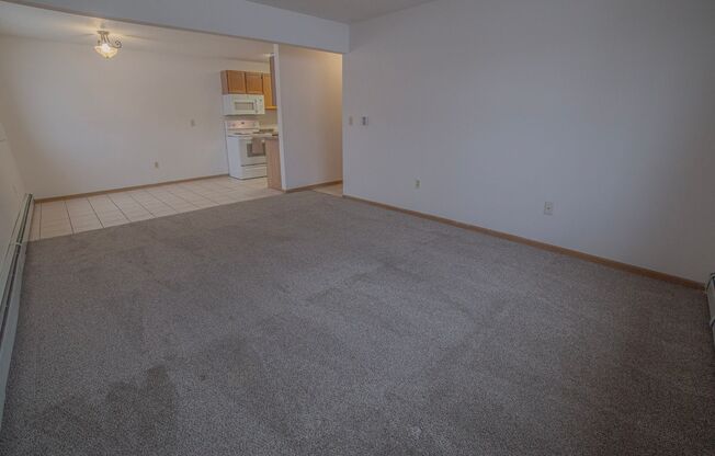 3 beds, 1 bath, 1,025 sqft, $955, Unit 3100-101