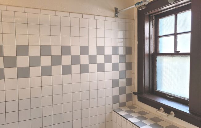 Studio, 1 bath, $725, Unit 301