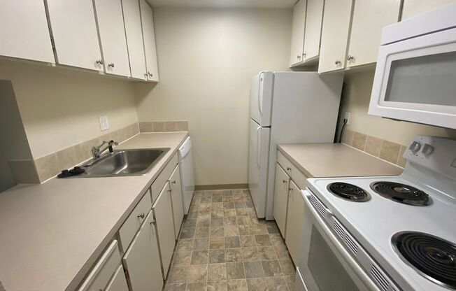 1 bed, 1 bath, 528 sqft, $1,445, Unit 103