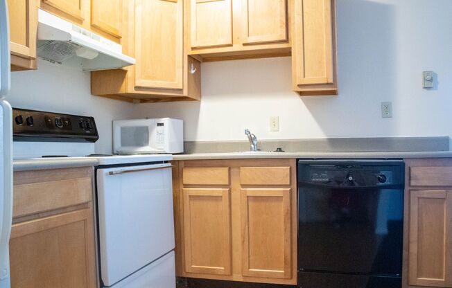 Studio, 1 bath, 380 sqft, $925