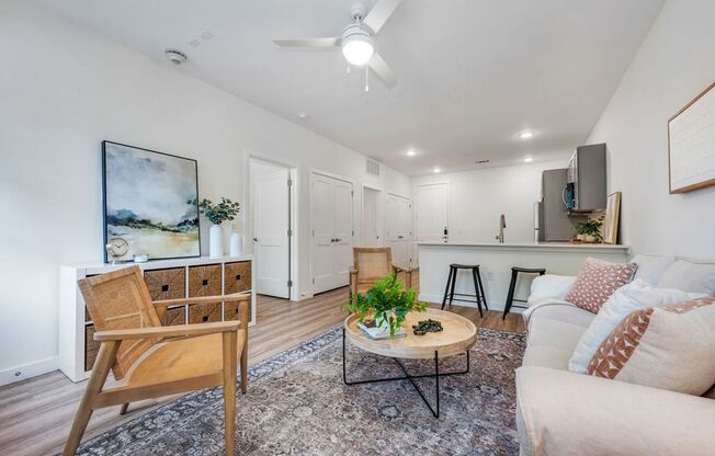 1 bed, 1 bath, 725 sqft, $1,725