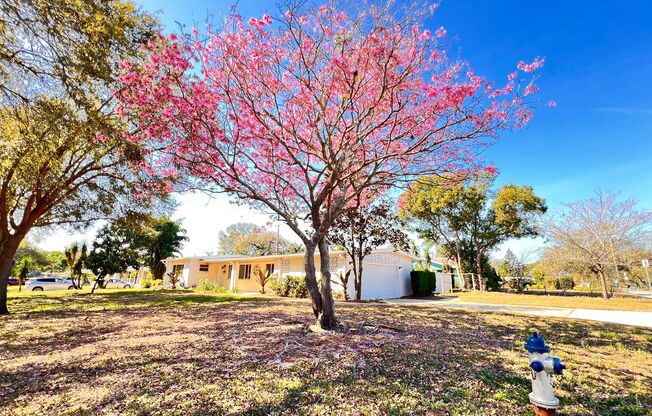 3BD/2BA Charming Blend of Modern Elegance and Florida Living at 1516 Dove Dr, Orlando! WASHER & DRYER INCLUDED!