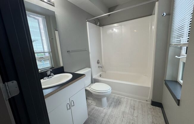 Studio, 1 bath, 309 sqft, $1,195, Unit 511