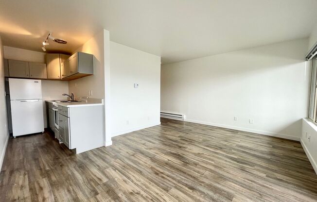 Studio, 1 bath, 370 sqft, $1,425, Unit 407