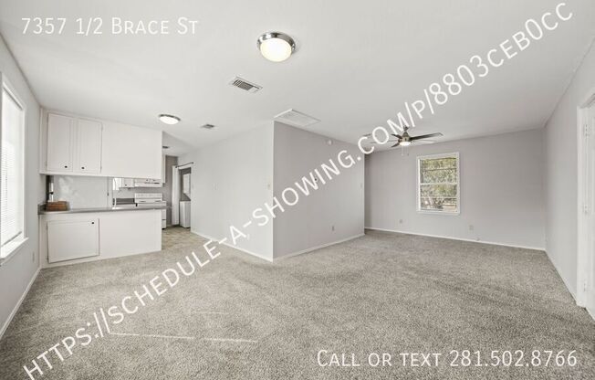 7357 1/2 BRACE ST