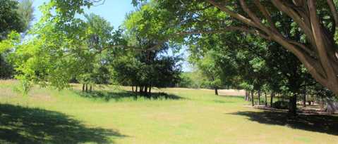 118 Larkspur Ln