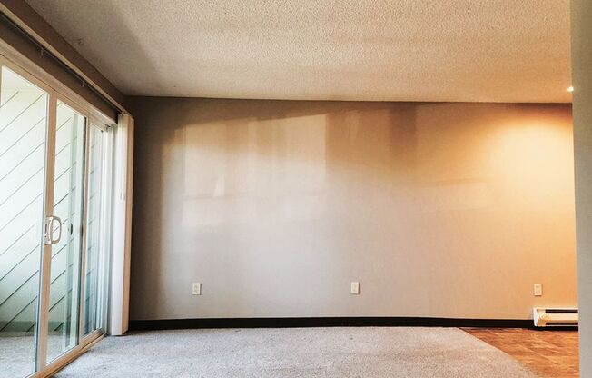 Studio, 1 bath, 440 sqft, $1,005, Unit 217