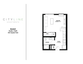 Studio, 1 bath, 365 sqft, $1,139