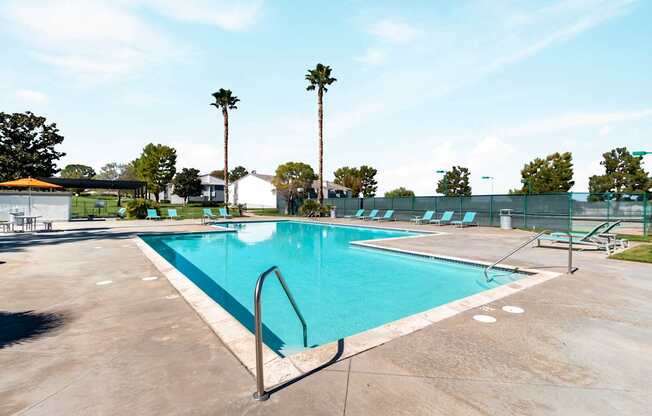 A large outdoor swimming pool surrounded by palm trees.