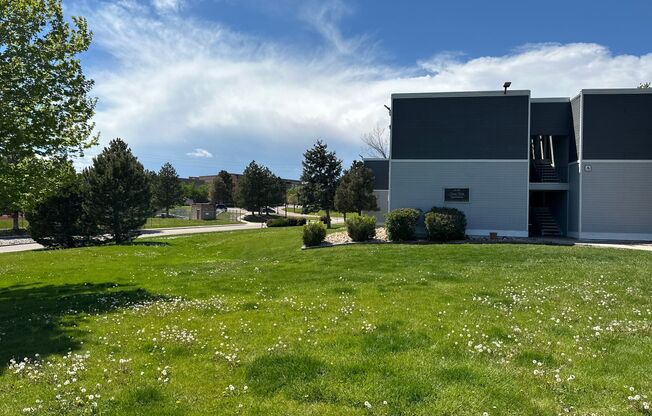 Sierra Vista - 2023 Specials on our Newly Renovated apartment homes!