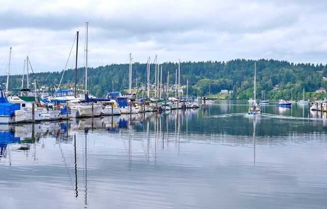 a marina filled with boats on a lake at Woodcreek, Poulsbo