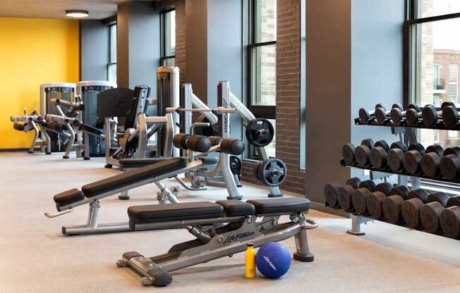 A gym with a variety of equipment including weights and a medicine ball.