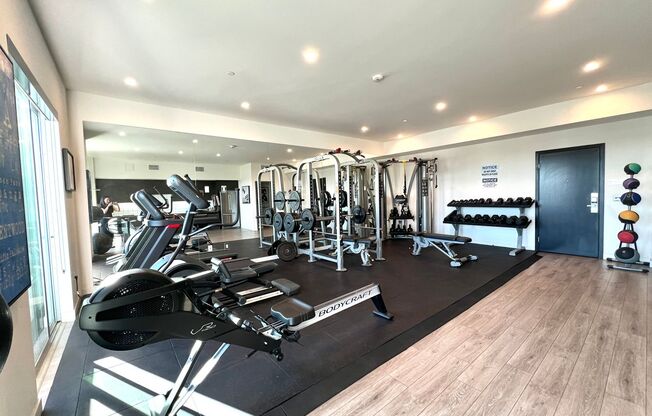 1 bed, 1 bath, 621 sqft, $3,250, Unit 206