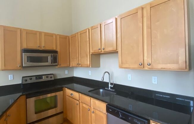 Theresa Park Lofts