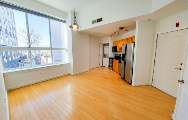 Spacious and Sunlit 1 BR 1 BA in 16th St Heights