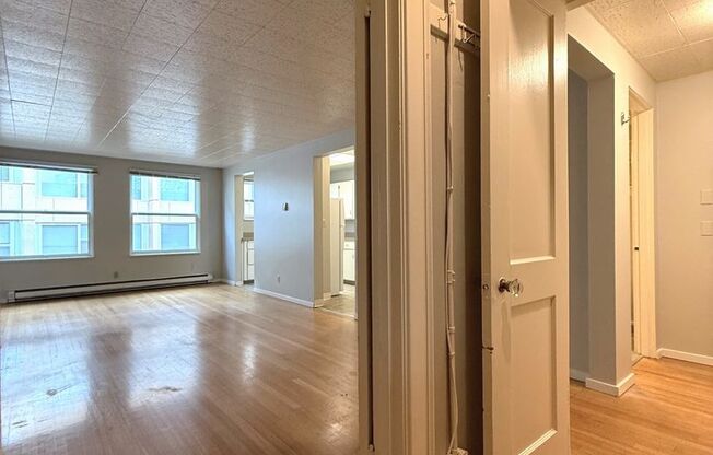 Studio, 1 bath, 510 sqft, $1,300, Unit 411