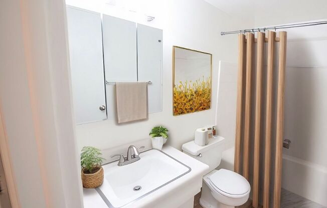 2 beds, 1 bath, 700 sqft, $1,249, Unit 22