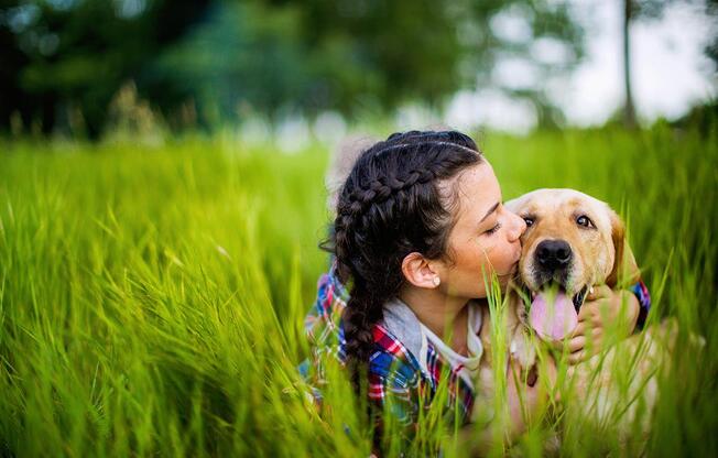 a dog that is standing in the grass