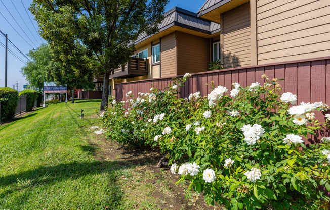 a yard with flowers in front of a house