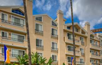 Welcome to The Ritz on Berendo