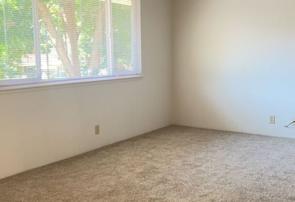 2 beds, 1 bath, 905 sqft, $1,425