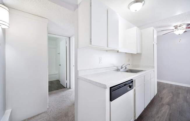 The Canopy | Kitchen