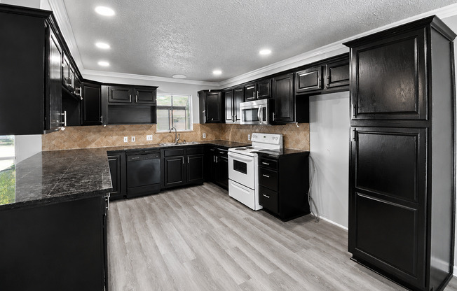Freshly Renovated Home with HUGE backyard!