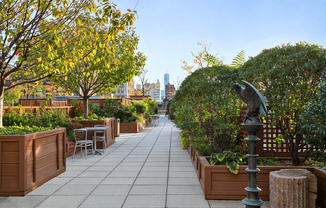 1 bed, 1 bath, $5,800, Unit 1609