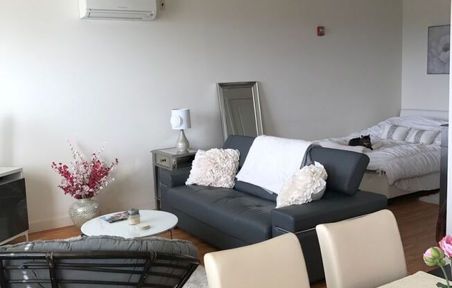 Studio, 1 bath, 680 sqft, $1,850, Unit #317