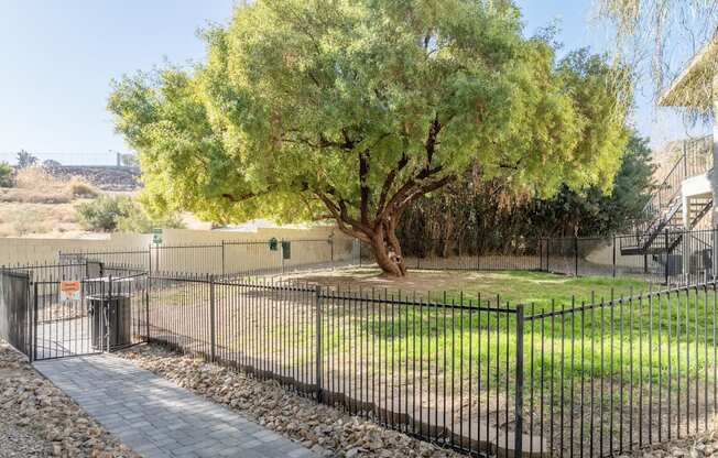 Mature landscaping at Sunset Winds in Henderson, NV 89014