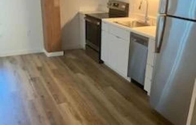 Studio, 1 bath, 344 sqft, $1,399, Unit 217