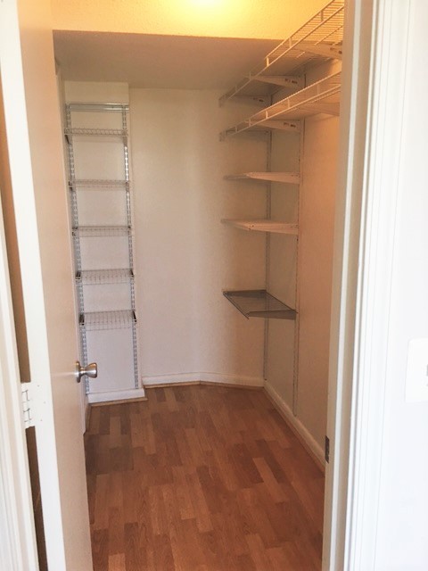 Studio, 1 bath, 454 sqft, $1,875, Unit 1007
