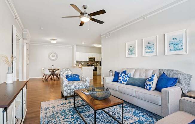 A living room with a grey couch and a blue rug.
