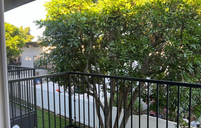 1 bed, 1 bath, 480 sqft, $2,310, Unit 92