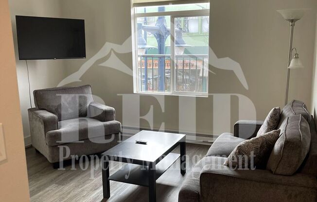 FURNISHED 1BED 1BATH APARTMENT - DOWNTOWN BREMERTON