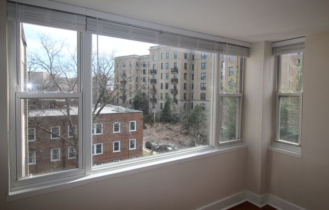 Studio, 1 bath, 389 sqft, $1,850, Unit 1845-712