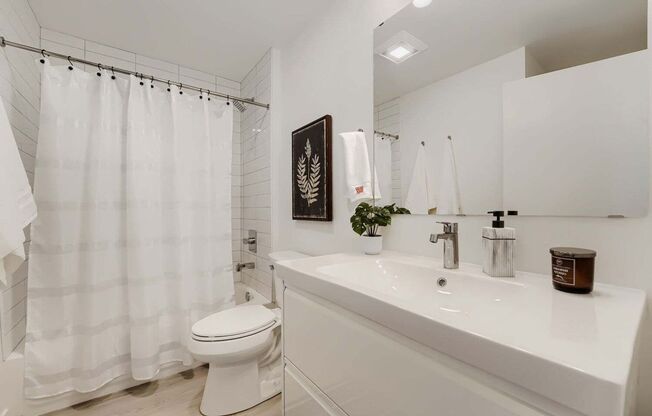 Studio, 1 bath, 422 sqft, $1,595, Unit Unit 204