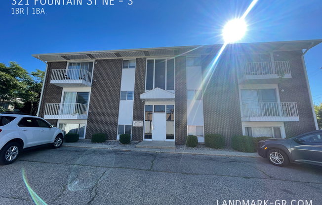 321 FOUNTAIN ST NE