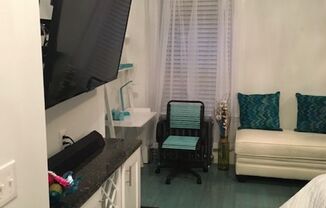 Studio, 1 bath, $2,100
