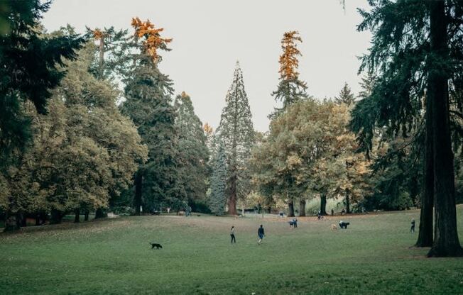 a group of people playing in a park