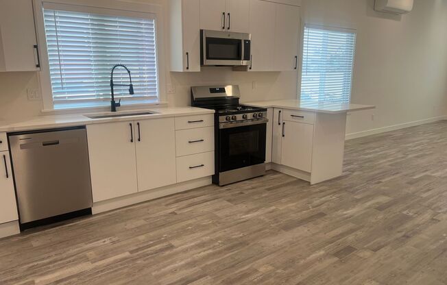 Beautifully Remodeled 3 Bedroom Home in Downtown Ferndale!