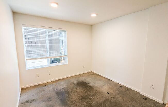 Studio, 1 bath, 186 sqft, $1,195, Unit 218