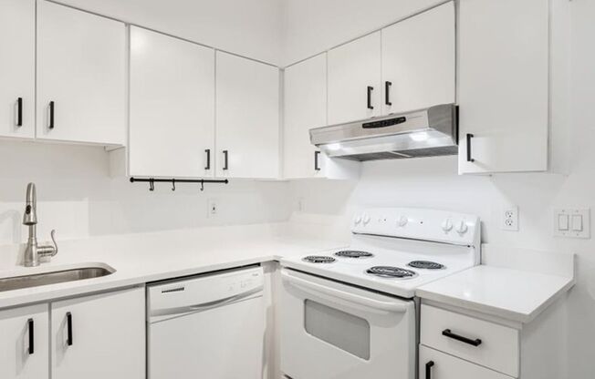 1 bed, 1 bath, 660 sqft, $1,600, Unit 404