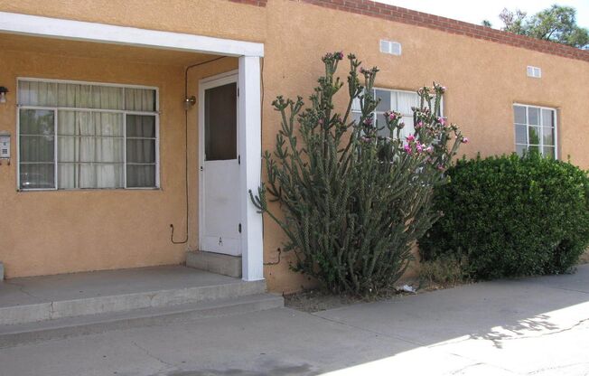 One Bedroom Apartments in the Heart of Albuquerque