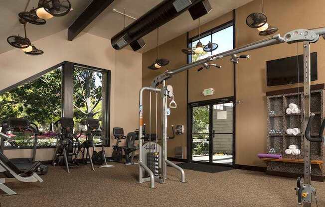 A gym with a variety of equipment including treadmills, weights and exercise machines.